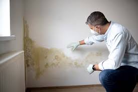 Biohazard Mold Removal in Heritage Lake, IL